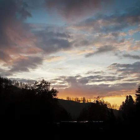 Tiny House Nature 14 - Tiny Village Harz