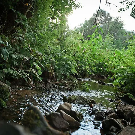 Tiny House Nature 14 - Tiny Village Harz بيت للعطل Osterode am Harz
