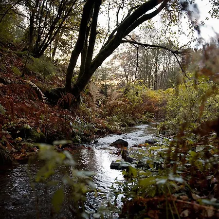 Tiny House Nature 14 - Tiny Village Harz بيت للعطل Osterode am Harz
