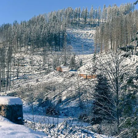 Tiny House Nature 14 - Tiny Village Harz *